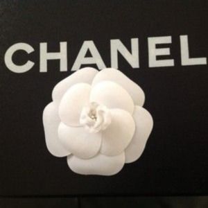 Meet your Posher, Dawn